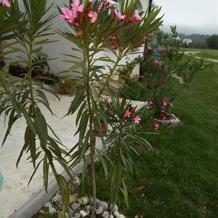 Apartments Zegarac House Korenica Dış mekan fotoğraf