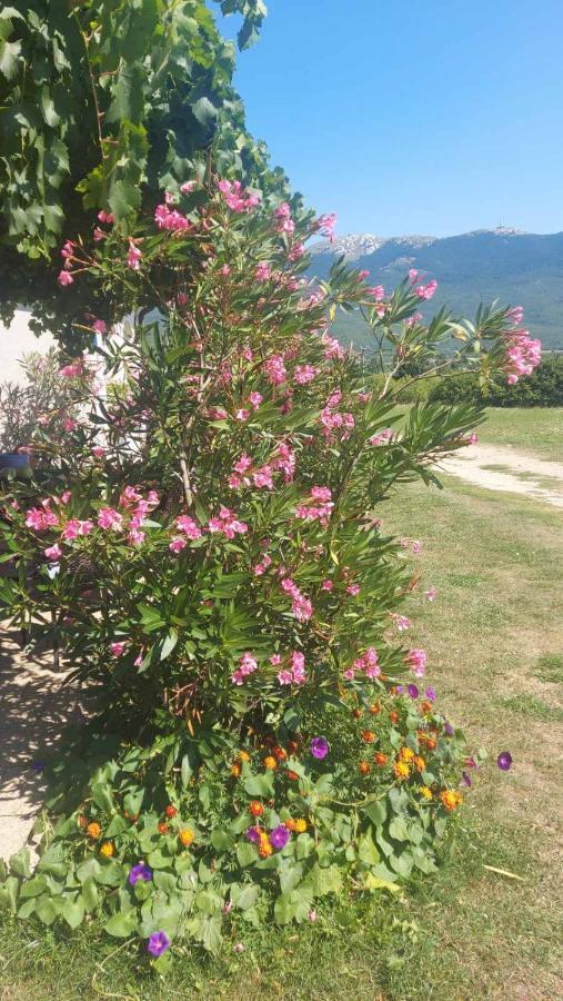 Apartments Zegarac House Korenica Dış mekan fotoğraf
