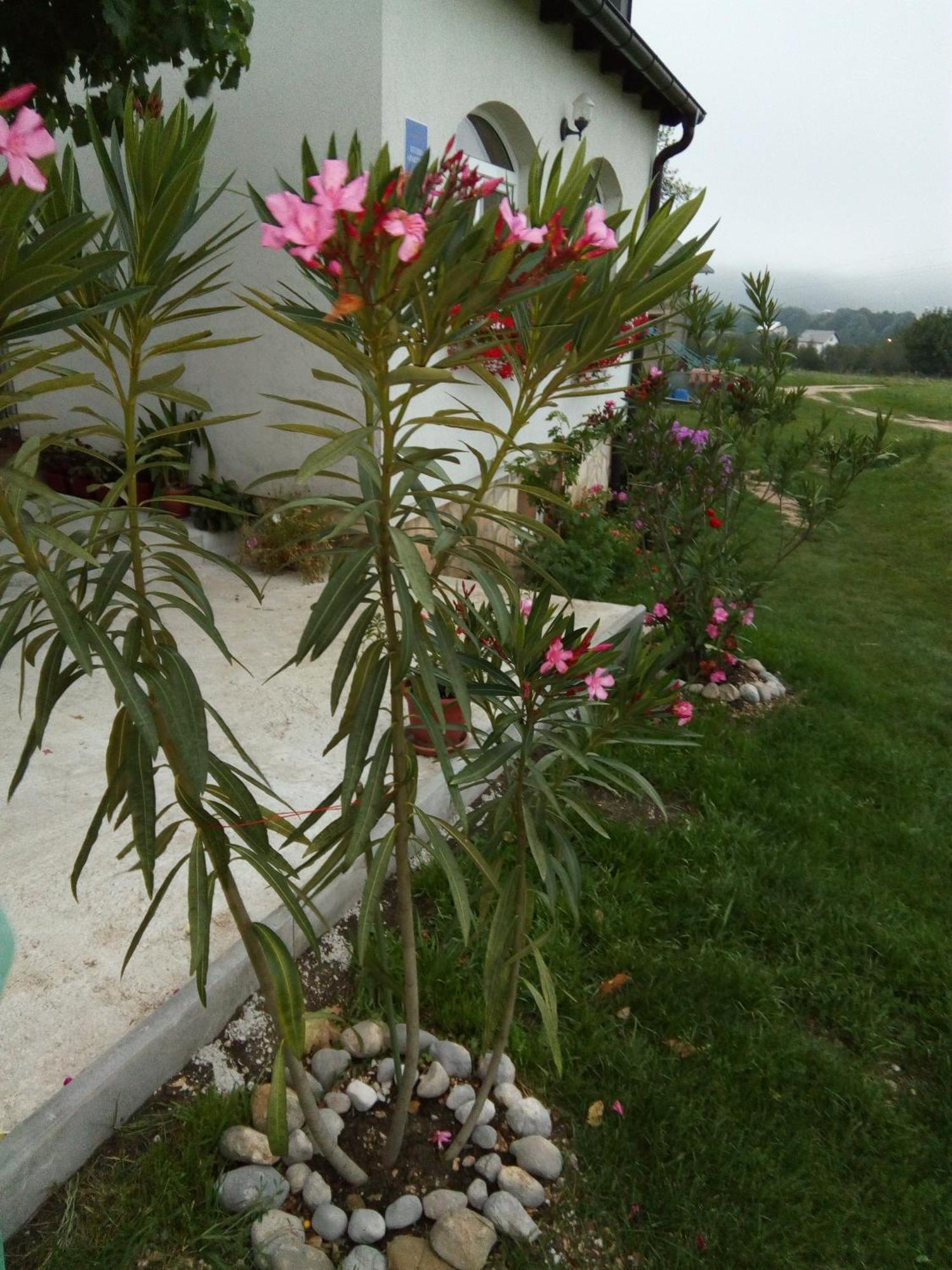 Apartments Zegarac House Korenica Dış mekan fotoğraf